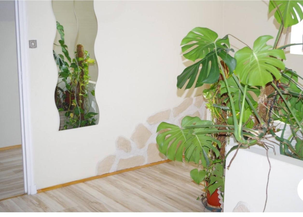 Appartement 90m2 Climatise *