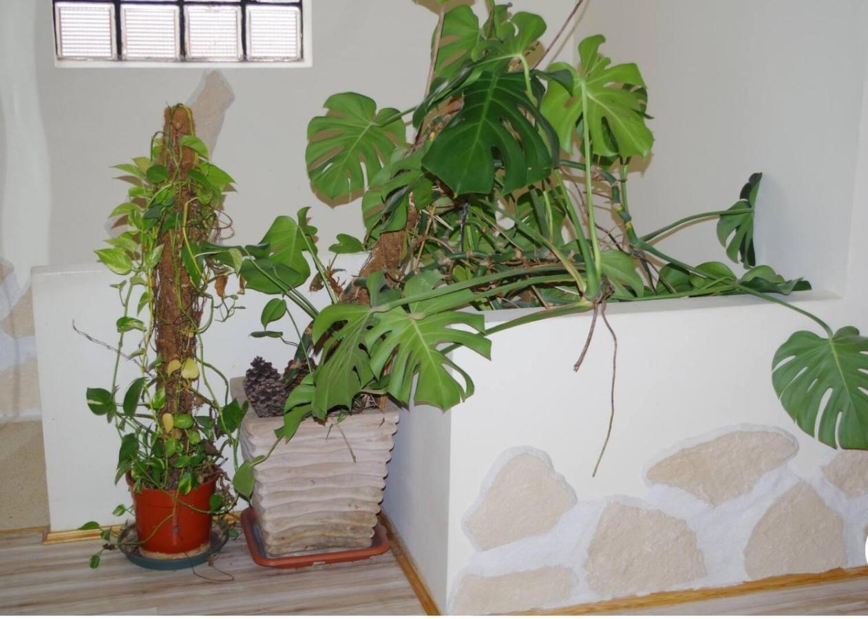 Appartement 90m2 Climatise *